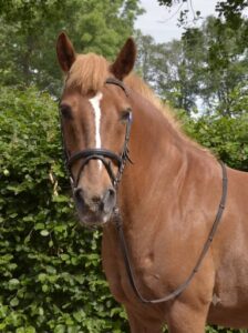 Benno